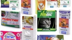 Pokyny pro použití přípravku delcide (2 ml)
